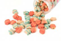 Your Cat’s Nutritional Requirements: The Basics