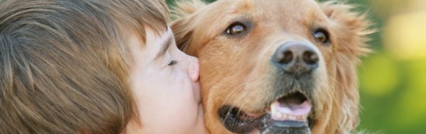 Housebreaking your dog