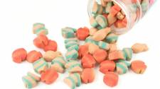 Your Cat�s Nutritional Requirements: The Basics