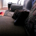 molly