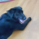 Murphy