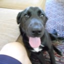 Murphy