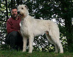 Giaccomo - BarkleyAndPaws