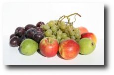 Avoiding fruits that are dangerous to your pet