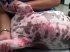 Contact allergies in dogs