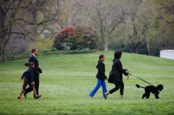 Bo - Obama's first dog and the family out with the pet Bo - Obama's first dog and the family out with the pet