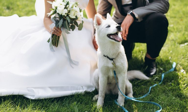 FloodsRoyalFlush-259372-Dog-Wedding-Ceremony-Image1.jpg