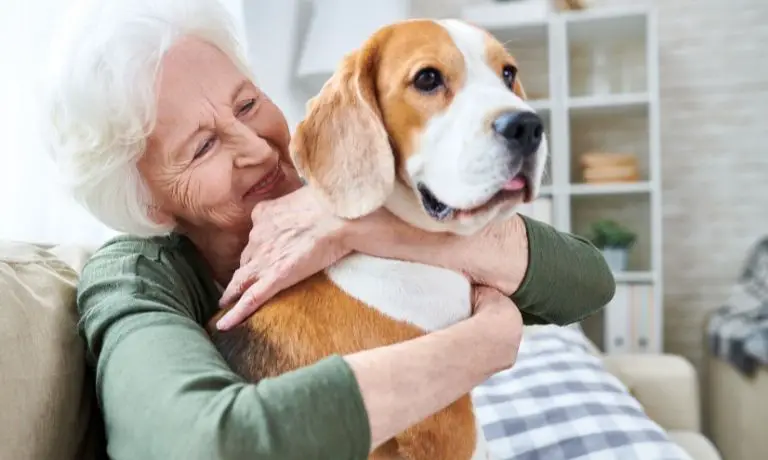 3 Pets That Are Great for Older Adults Who Live Alone