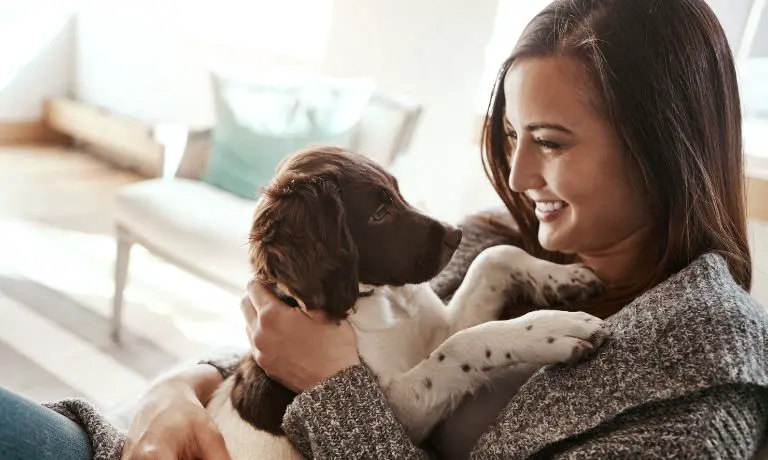 Tips for Getting Your Pets To Like You More