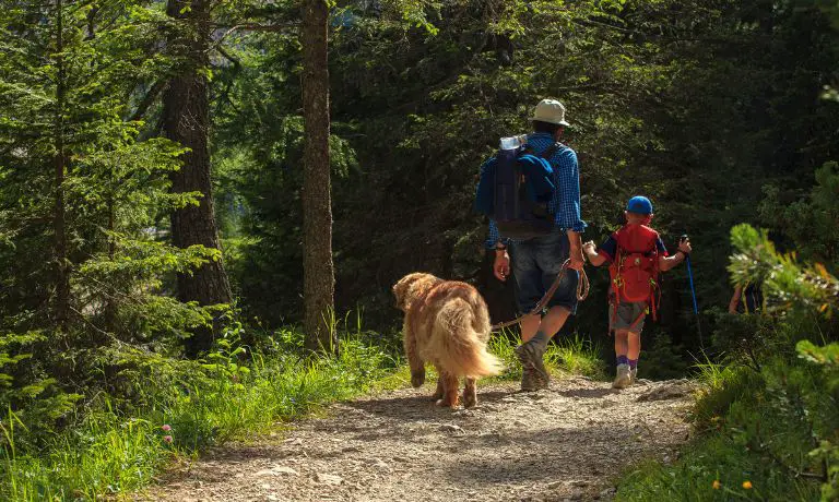 Bonding With Your Pup: Guide for Hiking With Your Dog