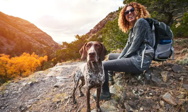 Paw-Some Tips for Dog Owners in Colorado
