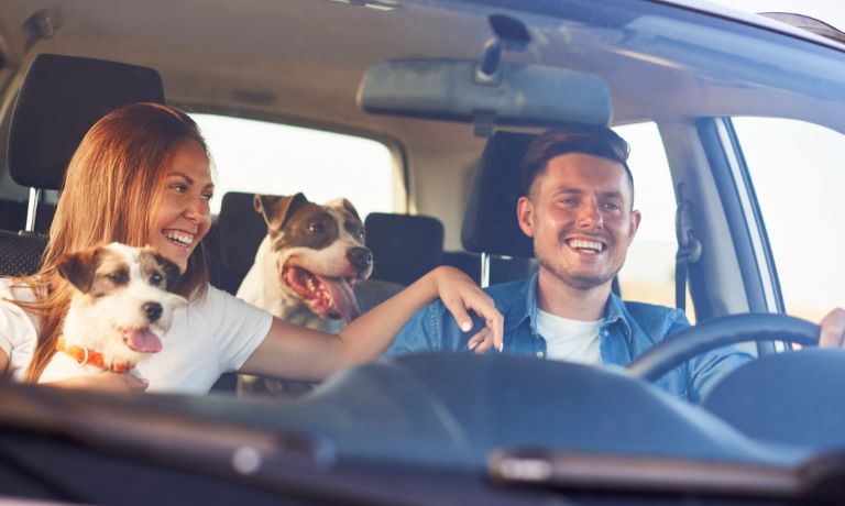 Tips To Make Road Trips With Your Dog Easier