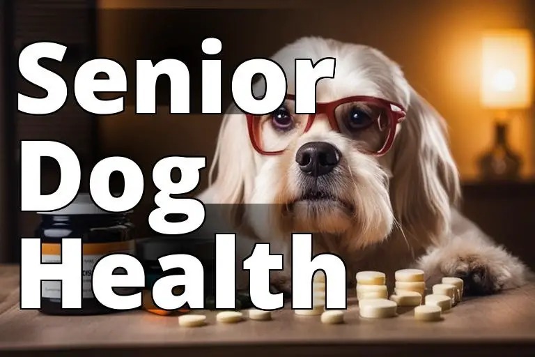 Senior-Dog-Health