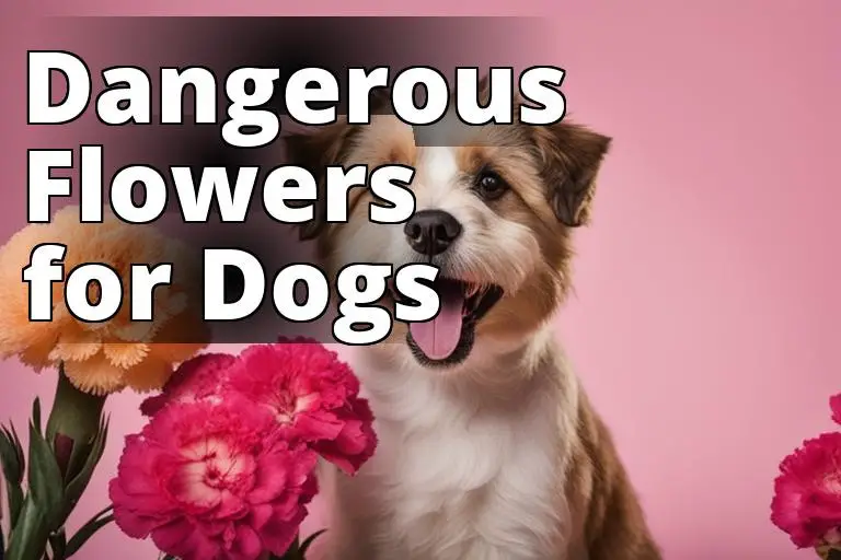 Image_dangerous_flowers_for_dogs