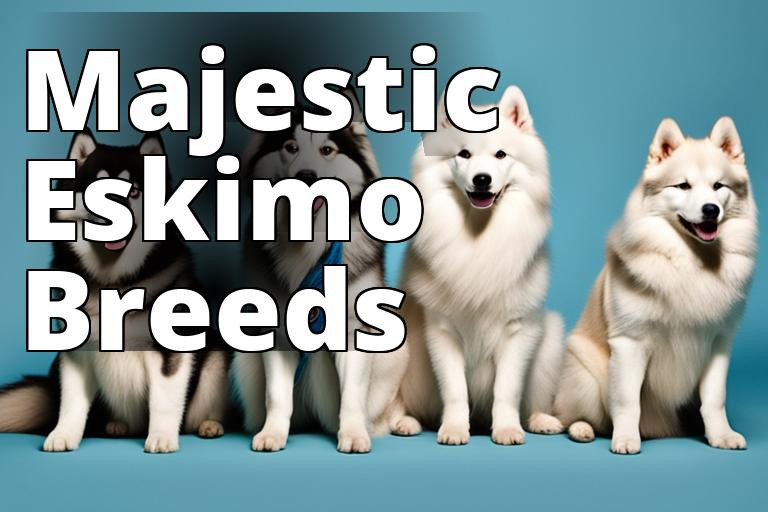 Majestic_Eskimo_Breed