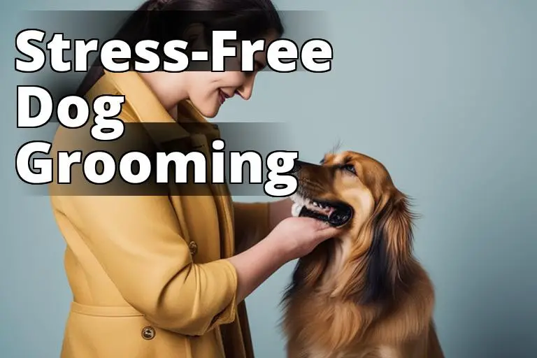 stress-free_dog_grooming