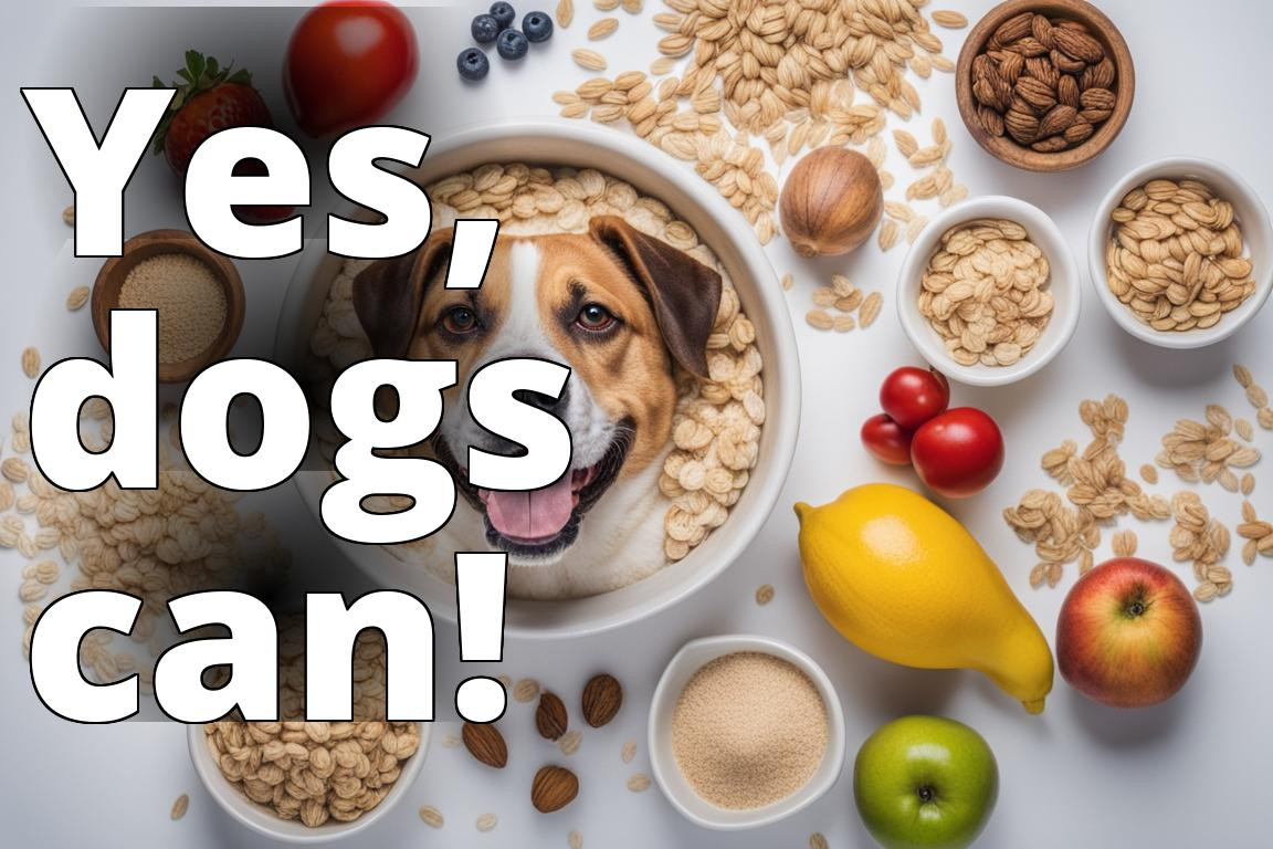 yes_dogs_can_eat_oats