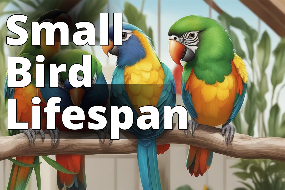 How Long Do Pet Birds Live? PetBirdLife