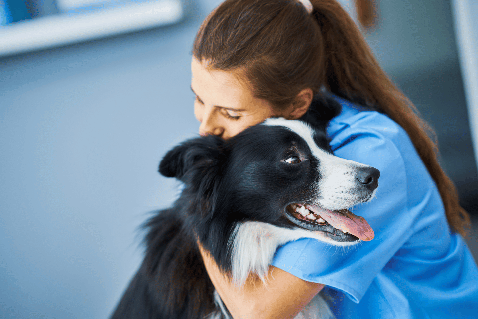 dog with vet 