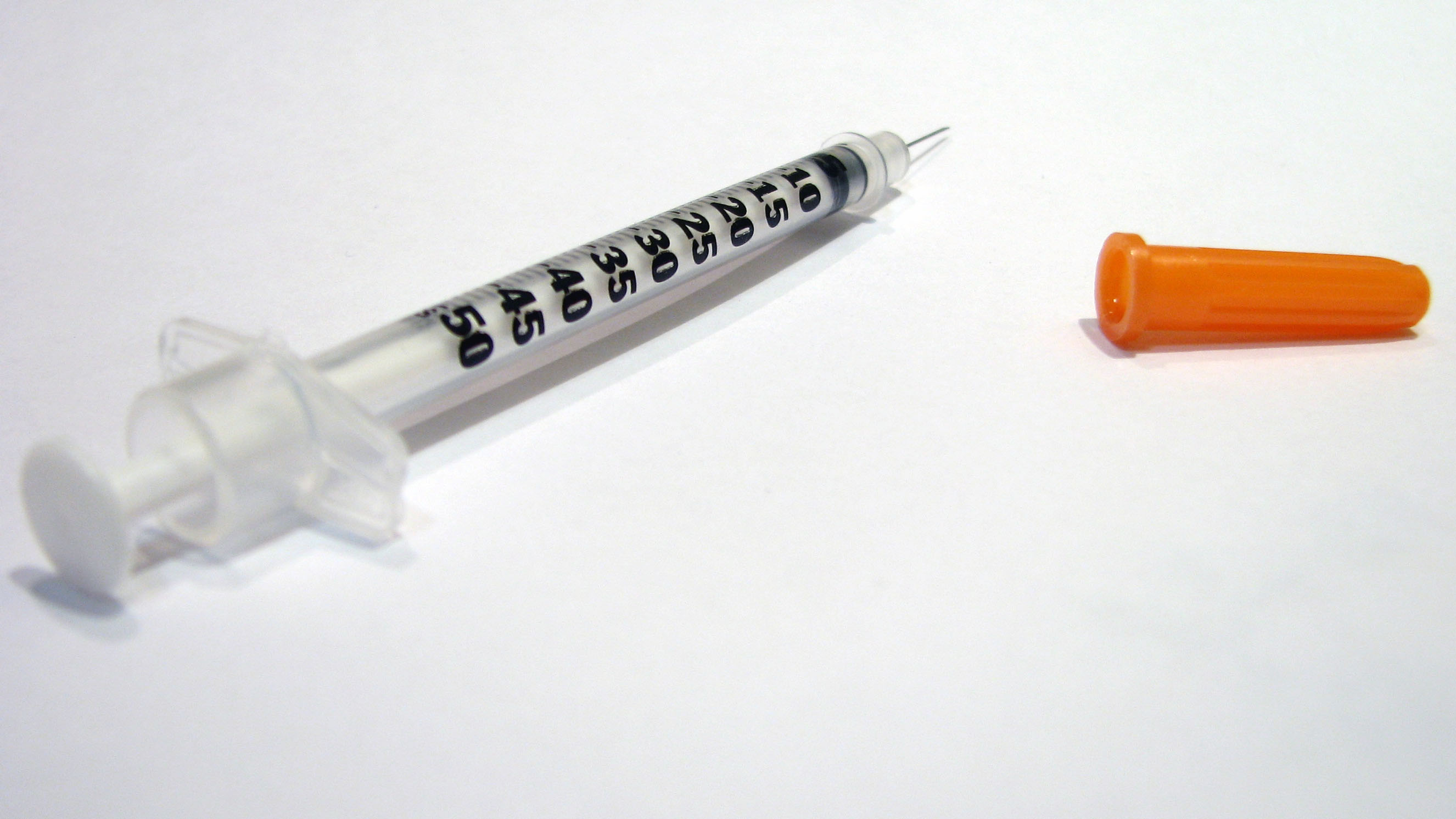 needle - dog vaccination
