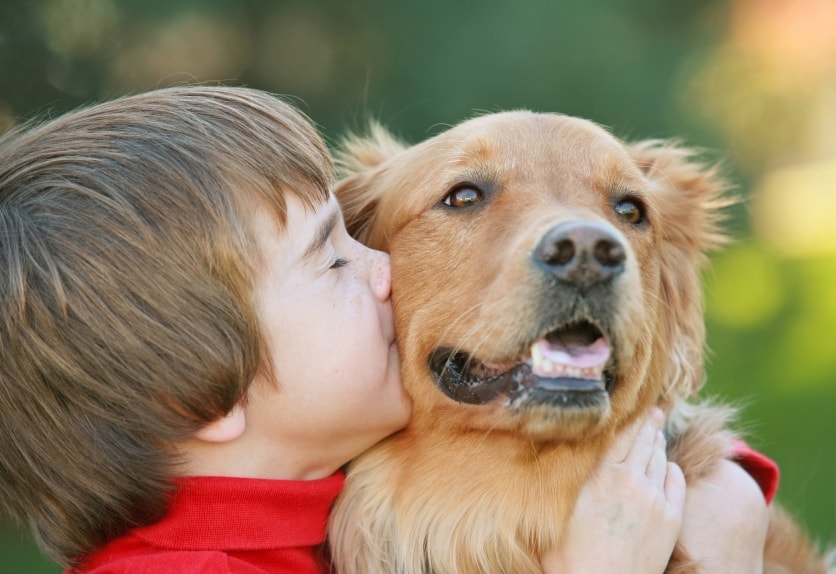 dog vaccination