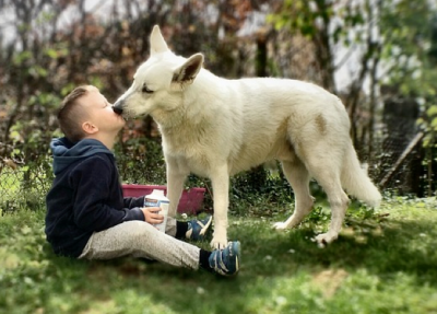 dog licking face 