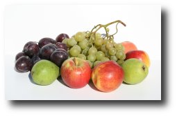 why can t dogs eat grapes why can t dogs eat grapes barkleyandpaws why can t dogs eat grapes why can t dogs eat grapes barkleyandpaws