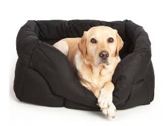 Dog bed 2