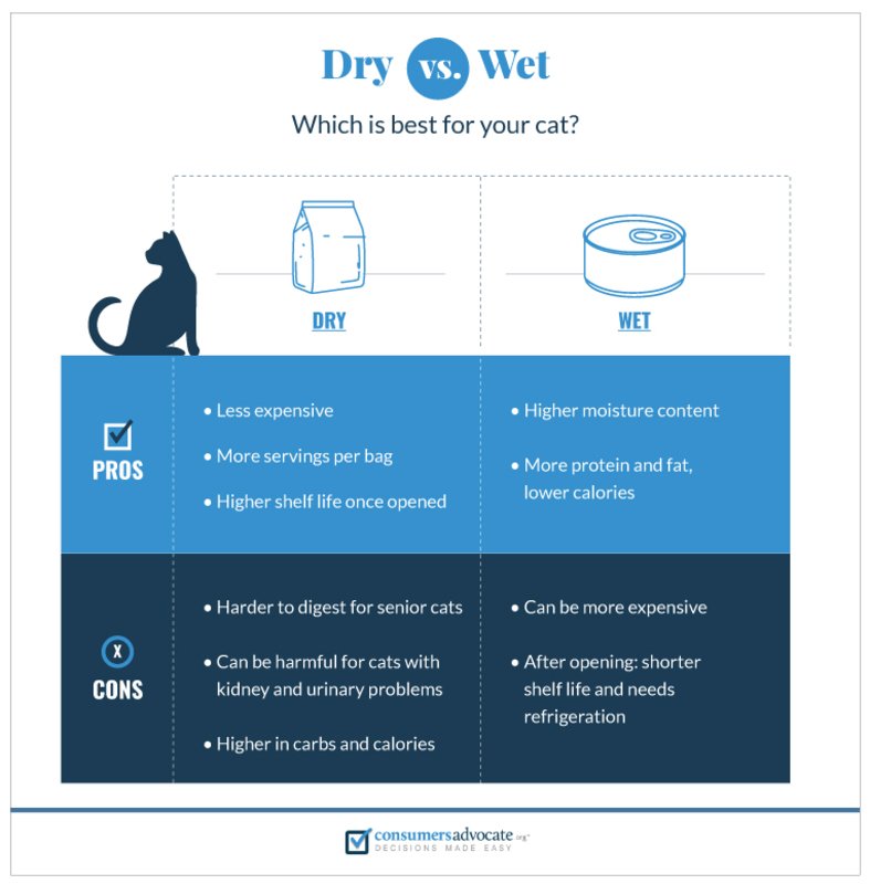 Dry vs Wet food