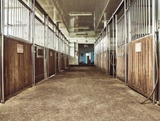 What To Look For in a Boarding Stable