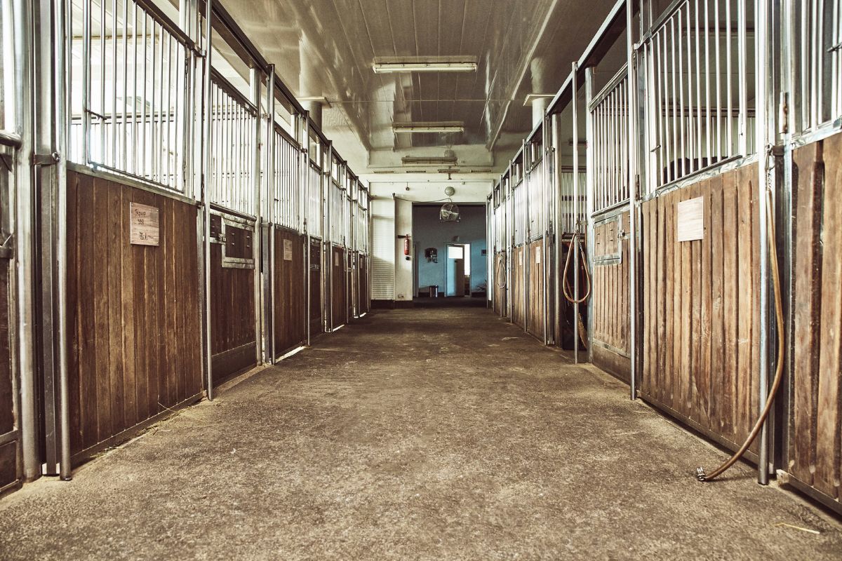 What To Look For in a Boarding Stable