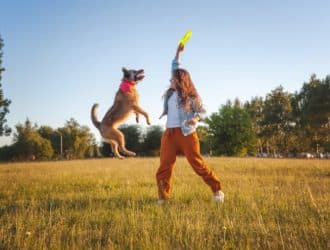 Fun Things To Do With Your Dog Year-Round