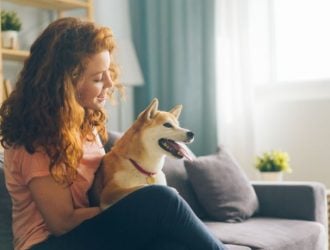 Vital Things To Know as a First-Time Dog Parent