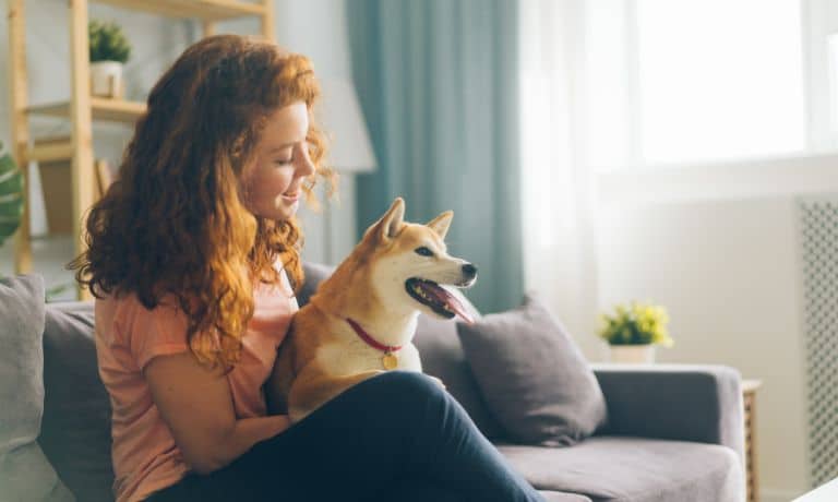 Vital Things To Know as a First-Time Dog Parent