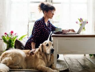 Ways To Make Your Home Office Safer for Your Pet