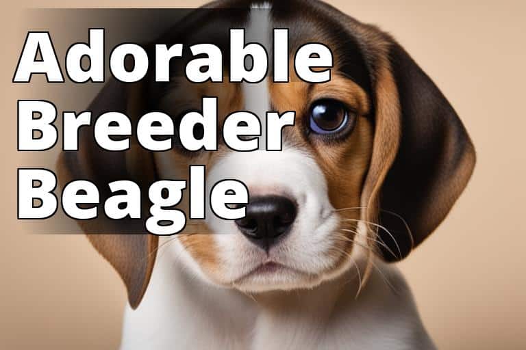 Adorable-Beagle-Puppy.jpg