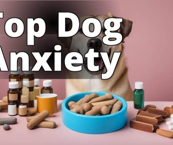 top-dog-anxiety-cover-image.jpg