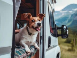 4 Best Dog-Friendly Campgrounds in the United States