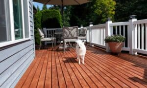 How To Build a Pet-Friendly Deck: Ideas for Dogs and Cats