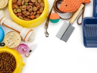 Several pet supplies for dogs and cats, including toys, food, treats, leashes, and grooming supplies, on a white background.