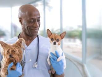 A smiling man wearing blue scrubs and a stethoscope carries a small dog under each arm. He's next to a wall of windows.