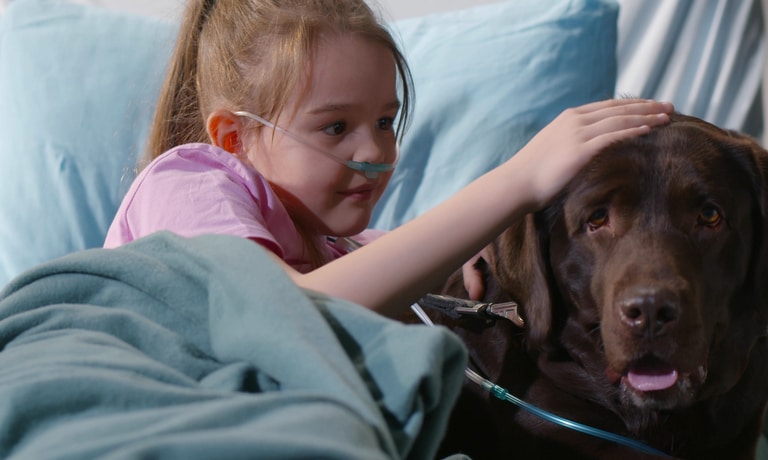 A large, relaxed brown dog laying in a hospital bed with a young girl. She is wearing a nasal cannula.