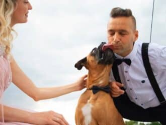 A bride and groom pet and comfort a dog dressed in a black bow tie. The dog happily licks the groom's cheek.