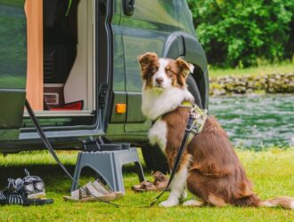 A dog sits on a leash attached to an RV camper near a river. There are several pairs of sandals on the grass.
