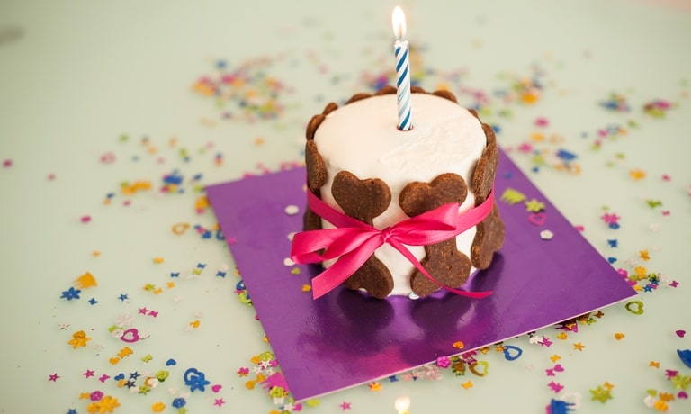 A birthday cake with an ignited candle sitting on top. There are brown dog bones surrounding the outer edge of the cake.
