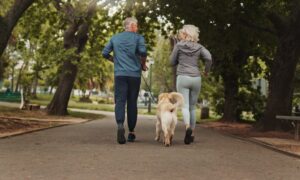 Is Your Dog Ready To Be Your New Running Buddy?