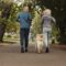 A mature couple jogging in a well-shaded park alongside their golden retriever, who is trotting between them.