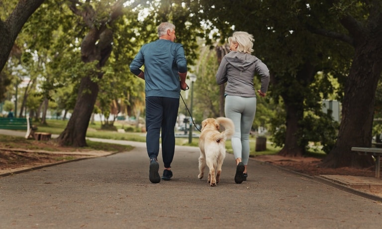 A mature couple jogging in a well-shaded park alongside their golden retriever, who is trotting between them.