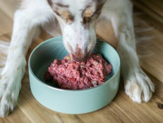 Species-Appropriate Nutrition-Does_it_Matter