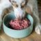 Species-Appropriate Nutrition-Does_it_Matter